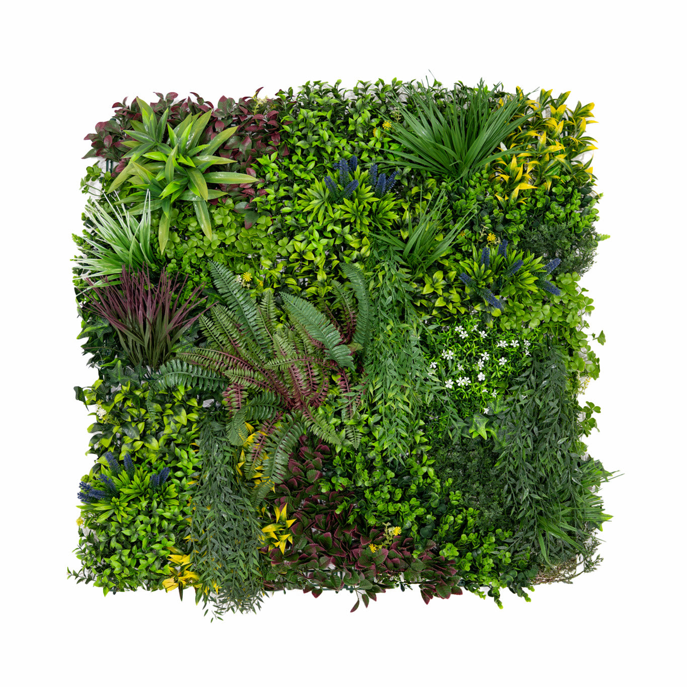 Cassia Konstgjord Vertikal Trädgårdsväggpanel – 100cm x 100cm (set med 3 enheter)