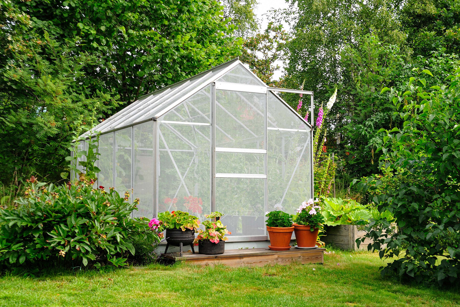Ett växthus med transparenta väggar, omgiven av gröna växter och färgglada blommor i krukor, på en grön gräsmatta