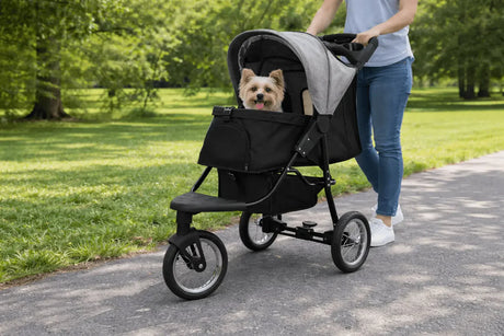 En person går med en svart joggingvagn för husdjur, där en glad hund sitter bekvämt inuti, omgiven av grönska och träd