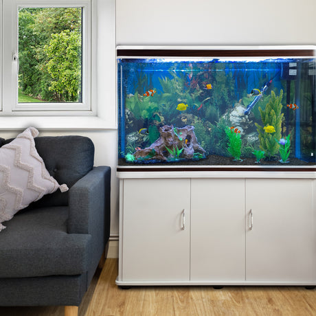 Akvarium