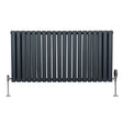 Grå radiator med ovala kolumner och kromventiler, 600mm x 1200mm, elegant design och slät yta för modern inredning