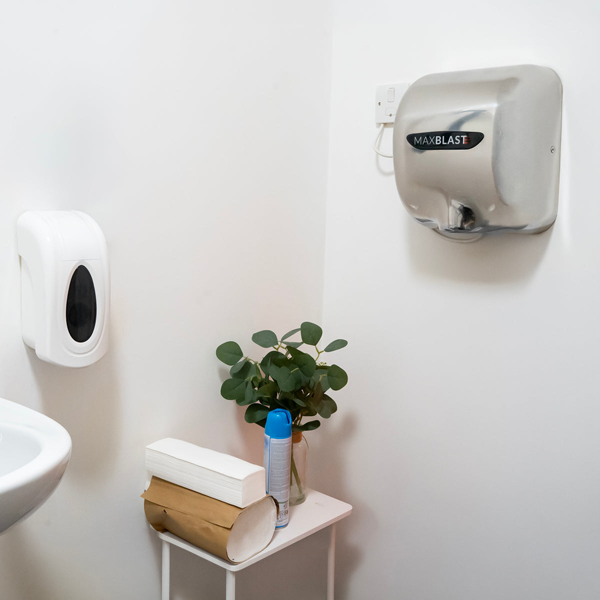 Snyggt badrum med en silverfärgad handtork, en vit tvålpump, en grön växt och en liten hylla med rengöringsmedel