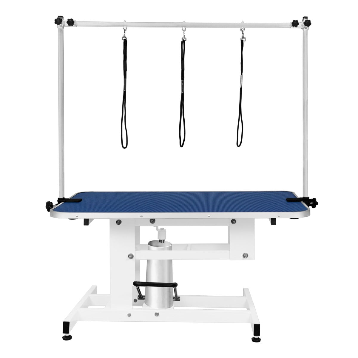 Vitt Hydrauliskt Bord för Husdjurstrimning - Blå Bordsyta