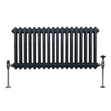 Traditionell 2-kolumns radiator - 300 x 832 mm – Antracitgrå