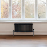 Traditionell 2-kolumns radiator - 300 x 832 mm – Antracitgrå