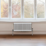 Traditionell 2-kolumns radiator - 300 x 832 mm – Vit