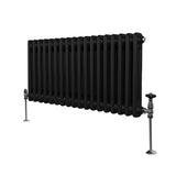 Traditionell 2-kolumns radiator - 300 x 832 mm – Svart