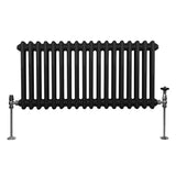 Traditionell 2-kolumns radiator - 300 x 832 mm – Svart