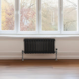 Traditionell 2-kolumns radiator - 300 x 832 mm – Svart