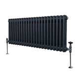 Traditionell 2-kolumns radiator - 300 x 1012 mm – Antracitgrå
