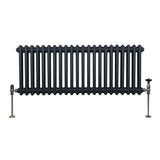 Traditionell 2-kolumns radiator - 300 x 1012 mm – Antracitgrå