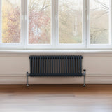 Traditionell 2-kolumns radiator - 300 x 1012 mm – Antracitgrå
