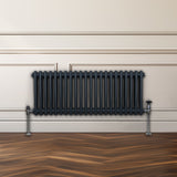 Traditionell 2-kolumns radiator - 300 x 1012 mm – Antracitgrå