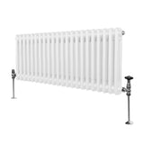 Traditionell 2-kolumns radiator - 300 x 1012 mm – Vit
