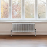 Traditionell 2-kolumns radiator - 300 x 1012 mm – Vit