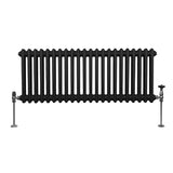 Traditionell 2-kolumns radiator - 300 x 1012 mm – Svart
