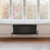 Traditionell 2-kolumns radiator - 300 x 1012 mm – Svart