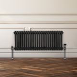Traditionell 2-kolumns radiator - 300 x 1012 mm – Svart