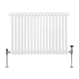 Traditionell 2-kolumns radiator - 600 x 832 mm - Vit