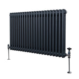 Traditionell 2-kolumns radiator - 600 x 1012 mm – Antracitgrå