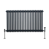 Traditionell 2-kolumns radiator - 600 x 1012 mm – Antracitgrå