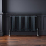 Traditionell 2-kolumns radiator - 600 x 1012 mm – Antracitgrå