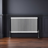 Traditionell 2-kolumns radiator - 600 x 1012 mm – Vit