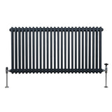 Traditionell 2-kolumns radiator - 600 x 1192 mm – Antracitgrå