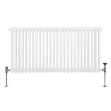 Traditionell 2-kolumns radiator - 600 x 1192 mm – Vit