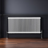 Traditionell 2-kolumns radiator - 600 x 1192 mm – Vit
