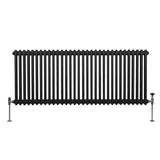 Traditionell 2-kolumns radiator - 600 x 1462 mm – Svart