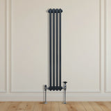 Traditionell 2-kolumns radiator - 1500 x 202 mm – Antracitgrå