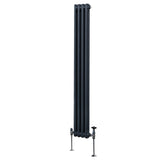Traditionell 2-kolumns radiator - 1800 x 202 mm – Antracitgrå