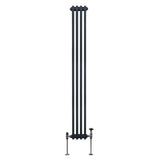 Traditionell 2-kolumns radiator - 1800 x 202 mm – Antracitgrå