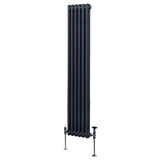 Traditionell 2-kolumns radiator - 1800 x 292 mm – Antracitgrå