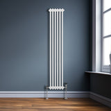 Traditionell 2-kolumns radiator - 1800 x 292 mm – Vit