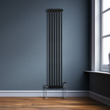 Traditionell 2-kolumns radiator - 1800 x 292 mm – Svart