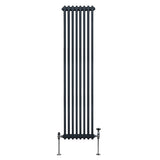 Traditionell 2-kolumns radiator - 1800 x 382 mm – Antracitgrå