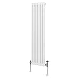 Traditionell 2-kolumns radiator - 1800 x 382 mm – Vit