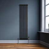 Traditionell 2-kolumns radiator - 1800 x 382 mm – Svart