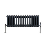 Traditionell 3-kolumns radiator - 300 x 832 mm – Antracitgrå