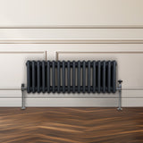 Traditionell 3-kolumns radiator - 300 x 832 mm – Antracitgrå