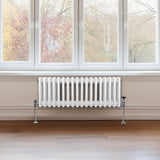 Traditionell 3-kolumns radiator - 300 x 832 mm – Vit