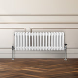 Traditionell 3-kolumns radiator - 300 x 832 mm – Vit