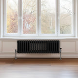 Traditionell 3-kolumns radiator - 300 x 1012 mm – Svart