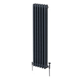 Traditionell 3-kolumns radiator - 1800 x 292 mm – Antracitgrå