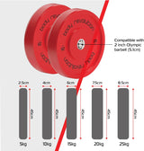 Body Revolution 2 x 25 kg Röda Olympiska Bumpervikter