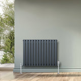 Oval enkelkolonnsradiator i antracitgrå med släta, vertikala ribbor och kromade ventiler, placerad mot en ljusgrön vägg
