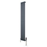 Oval enkelkolonnsradiator i antracitgrå, 1600 mm x 240 mm, med släta, vertikala paneler och synliga ventiler i metall