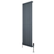 Oval enkelkolonnsradiator i antracitgrå, 1600 mm x 480 mm, med släta, vertikala lameller och moderna ventiler i metall